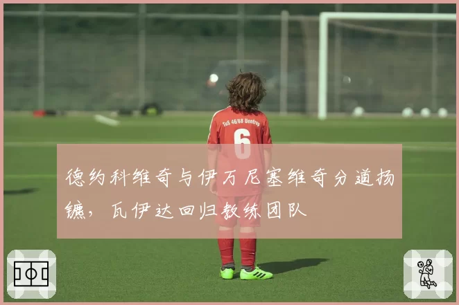 德约科维奇与伊万尼塞维奇分道扬镳，瓦伊达回归教练团队