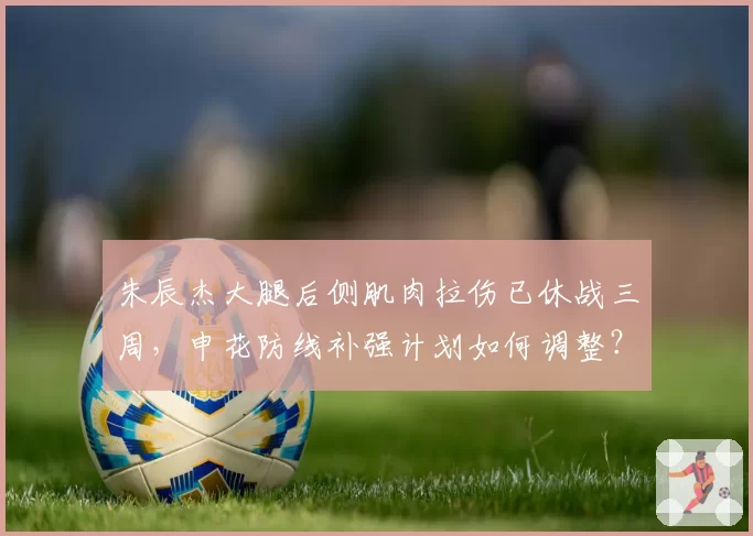 朱辰杰大腿后侧肌肉拉伤已休战三周，申花防线补强计划如何调整？