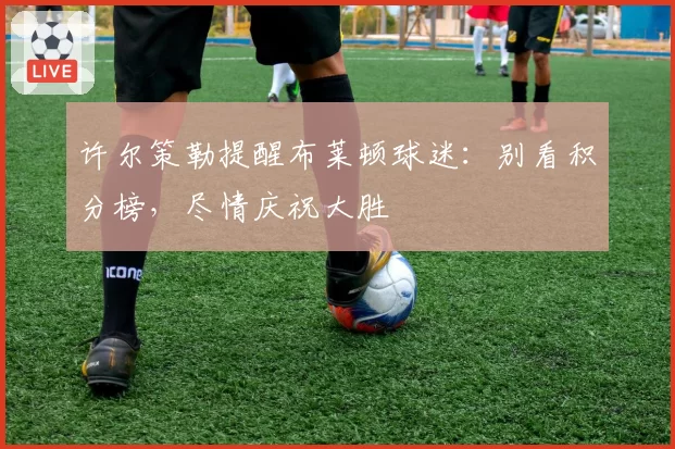 许尔策勒提醒布莱顿球迷：别看积分榜，尽情庆祝大胜