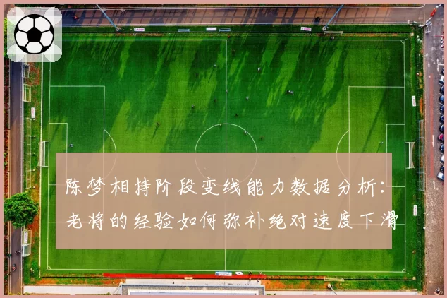 陈梦相持阶段变线能力数据分析:老将的经验如何弥补绝对速度下滑?