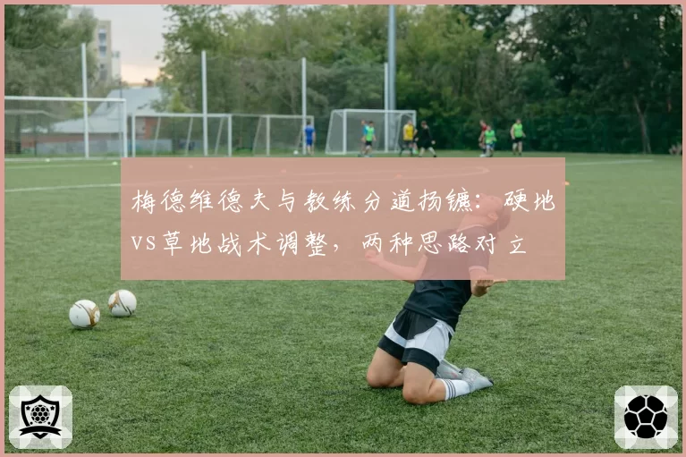 梅德维德夫与教练分道扬镳：硬地vs草地战术调整，两种思路对立